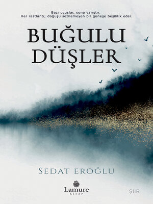 cover image of Buğulu Düşler
